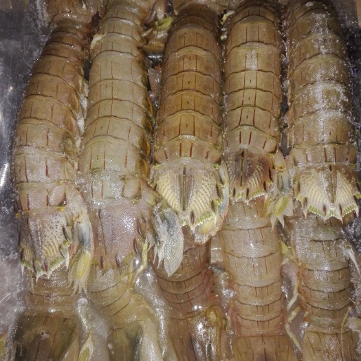 绵阳冻皮皮虾