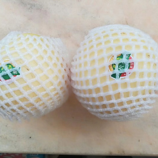 方城县优质博望黄金梨