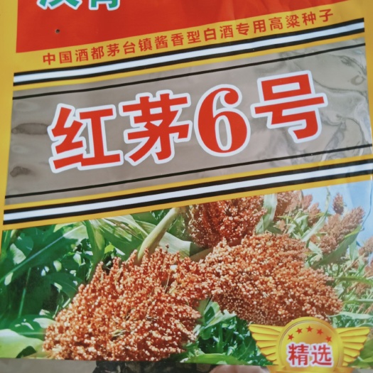 青县高粱种子 河北汉青种业现有育成品种二十余种，欢迎考察咨询