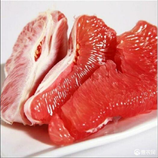 灵山县三红蜜柚苗 三红苗