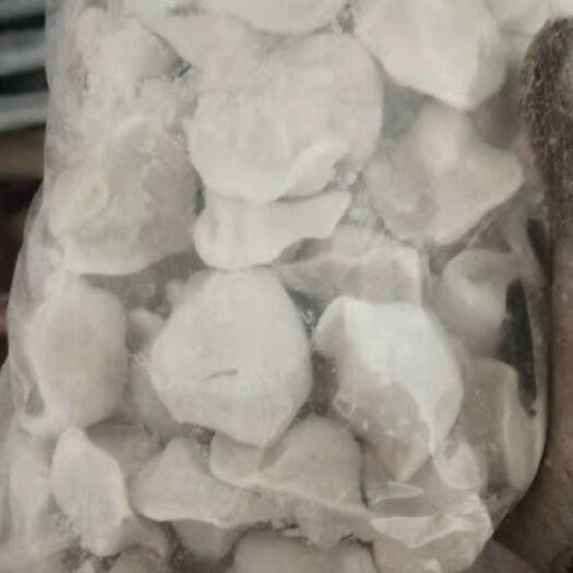 阳信县饺子 手工水饺