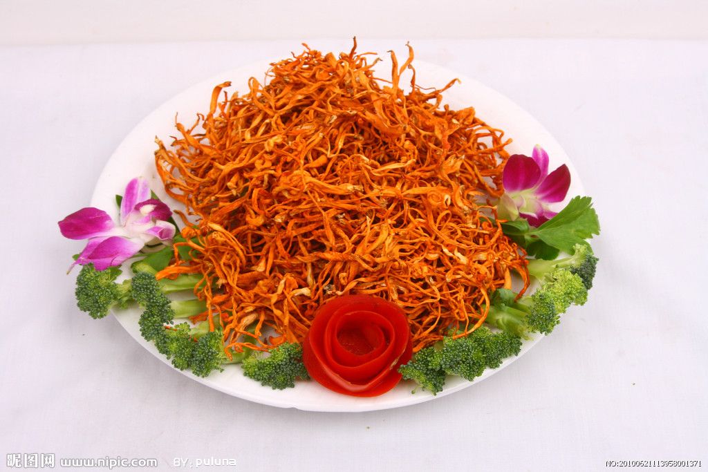 虫草花