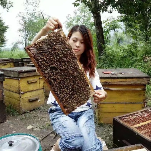 中蜂 产品质量纯正，给家人们送去健康
