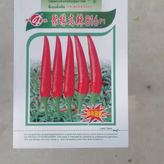 郑州 高辣816辣椒种子