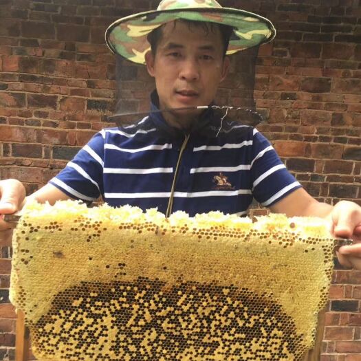 邵阳县 纯正土蜂蜜，没任何添加剂