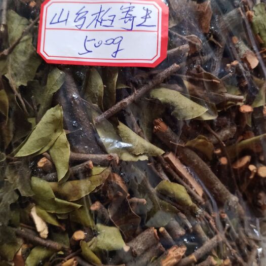 台山市乌柏木寄生 广西壮乡深山采摘，切段，干品！
