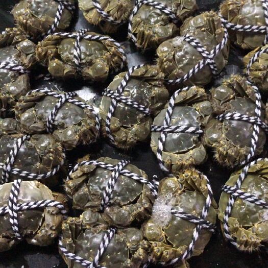 宜兴市 自家养的大闸蟹，售完为止，死伤免赔，质量保证，
