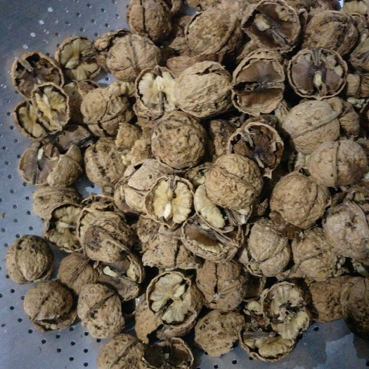 永平县 云南大理。纸皮干核桃。