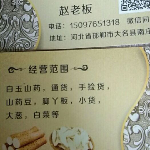 大名县 白玉山药欢迎新朋友