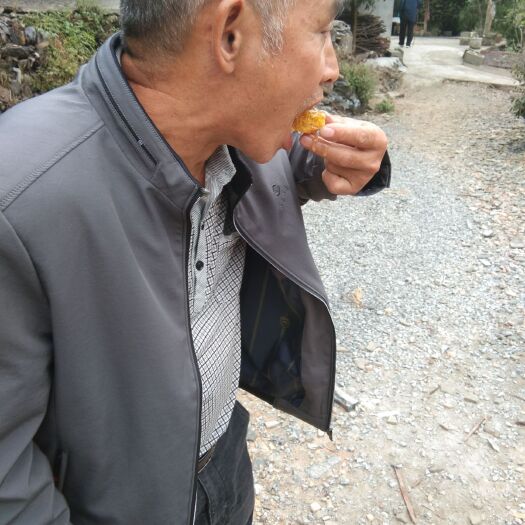凤凰县土蜂蜜 塑料瓶装 2年以上 