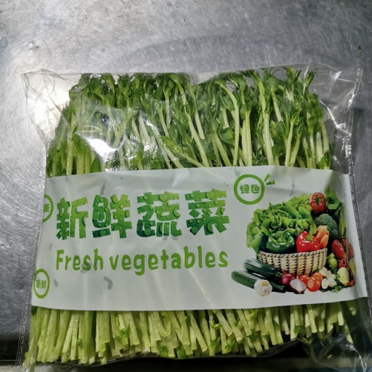 南宁豌豆苗 有机种植无农药无化肥