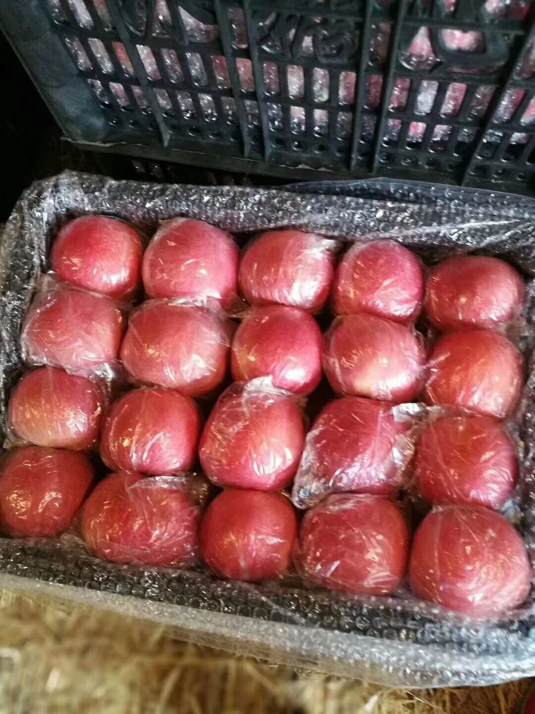 红富士苹果  红富士纸加膜