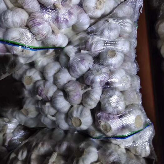 金乡县 金乡精品大蒜