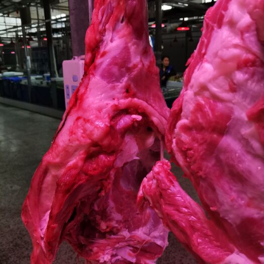 北京羊肉类 小羔羊