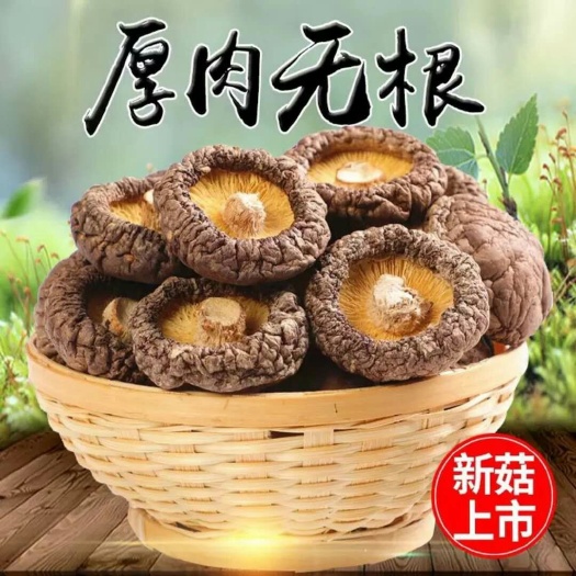 兴隆县 香菇干货特级干香菇500g新货野生蘑菇冬菇无根土特产山货散装
