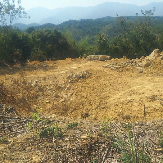 东安县荒地 十亩荒山寻租