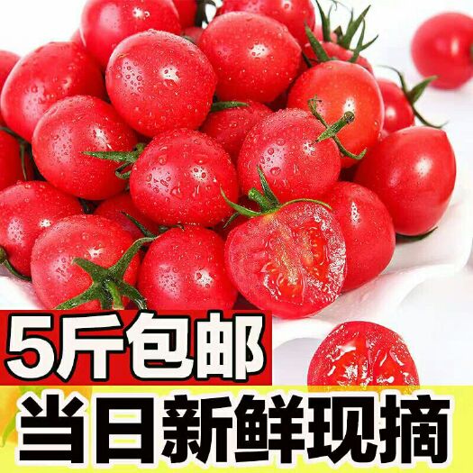 广州 千禧圣女果樱桃小番茄新鲜超甜小西红柿水果带箱5斤当季蔬菜包