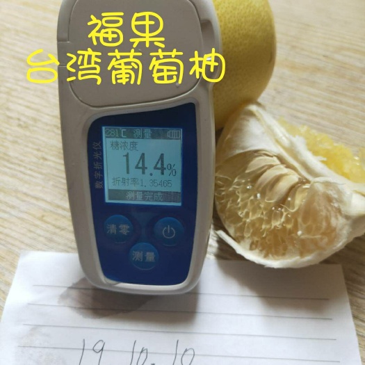 平和县 葡萄柚