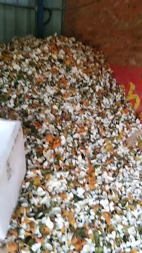 枝江市三花陈皮