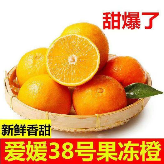 成都爱媛38号新鲜橙子果冻橙网红橙子5斤/10斤包邮