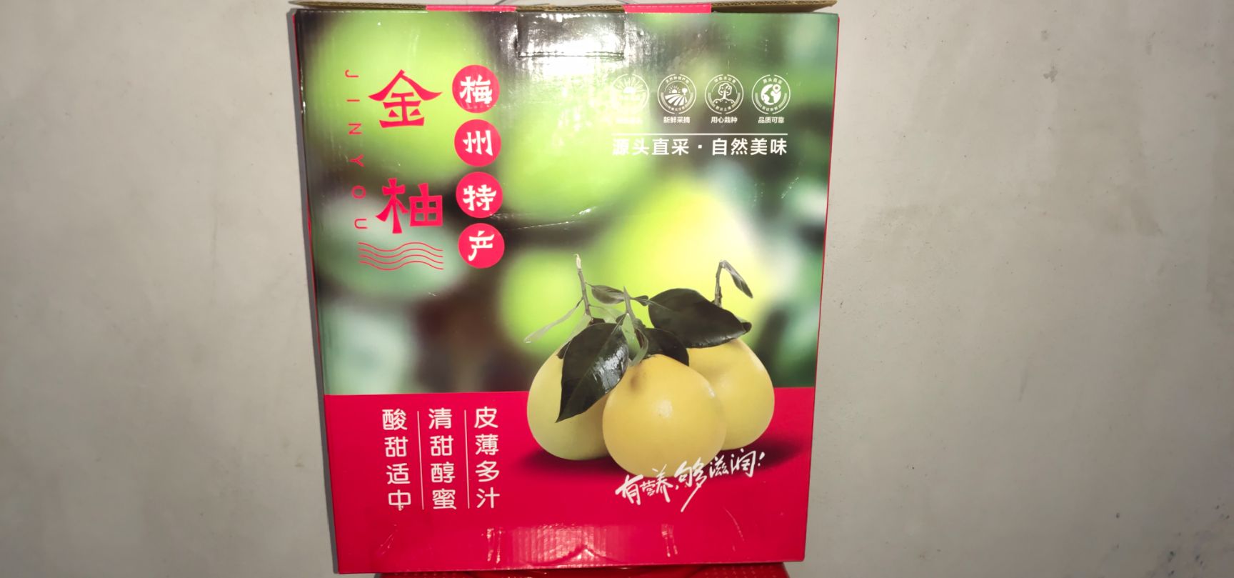 梅州沙田柚一级果【主推】甜度高5/9斤包邮一件代发