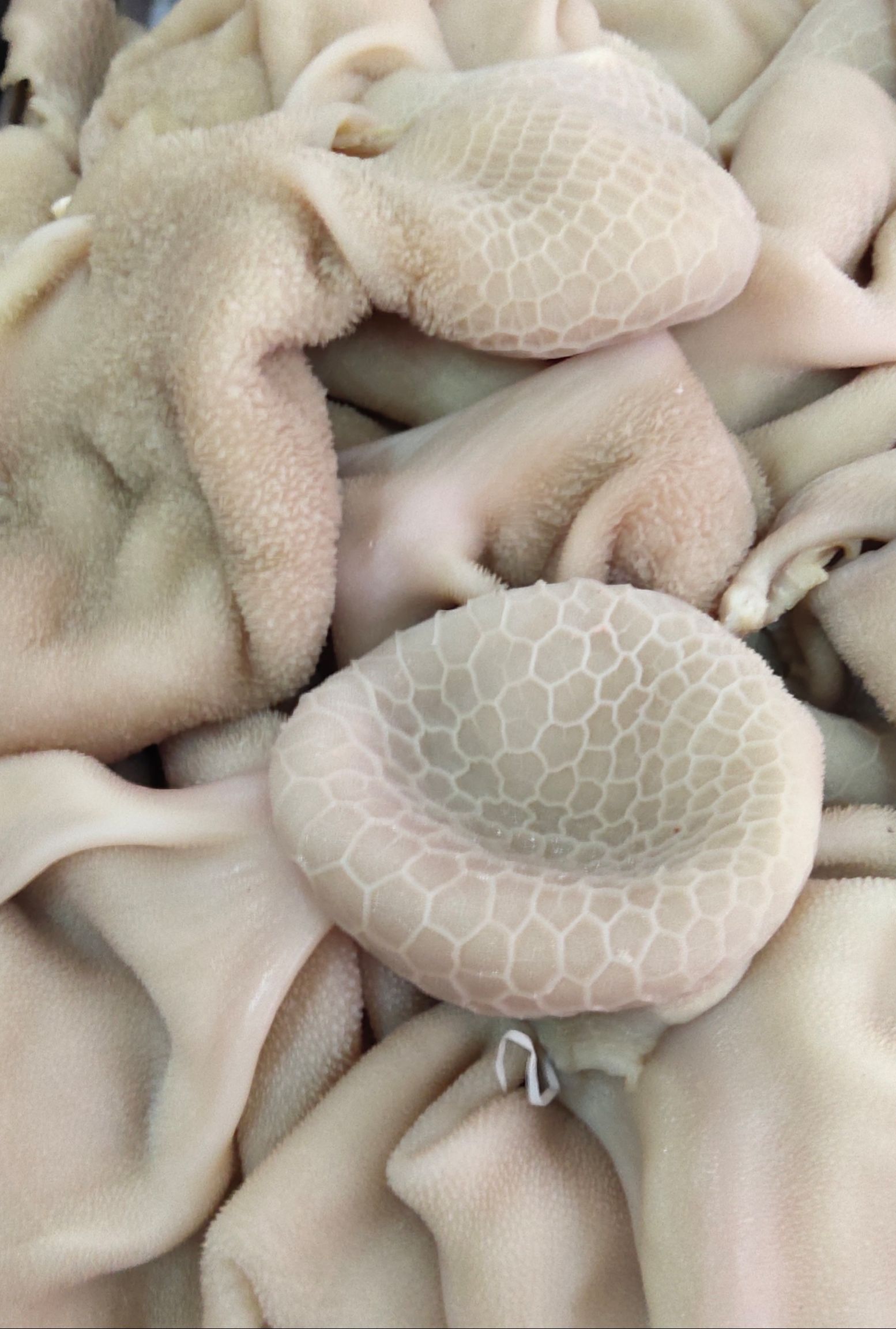 农产品批发供应商王申申 - 惠农网电脑版