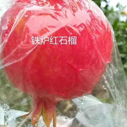 西安临潼石榴 临潼铁炉红软籽