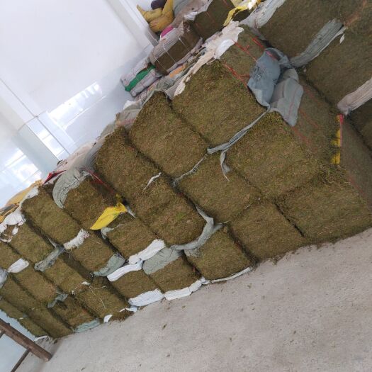 平塘县水苔苔藓  青苔5000一吨