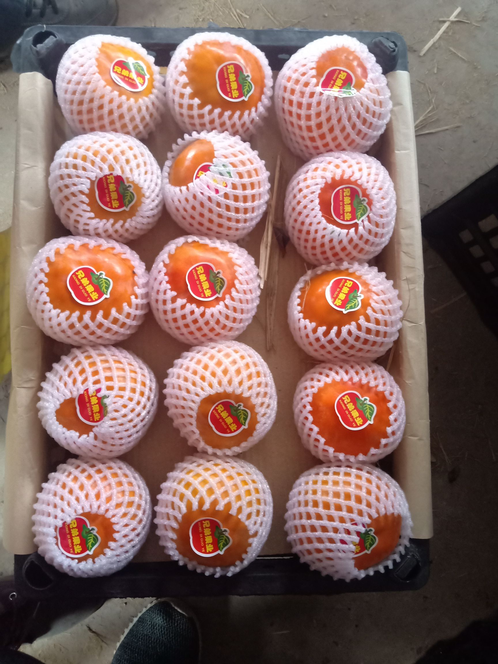 阳丰甜柿 3 - 4两以上