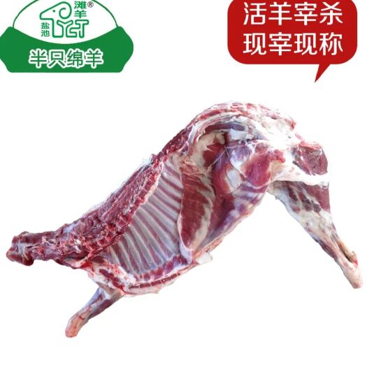 固原 30－50斤大羊肉，冷冻，包邮到家！！！