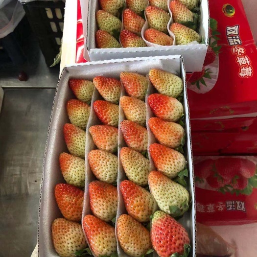 东莞市 云南双流草莓，价格优惠