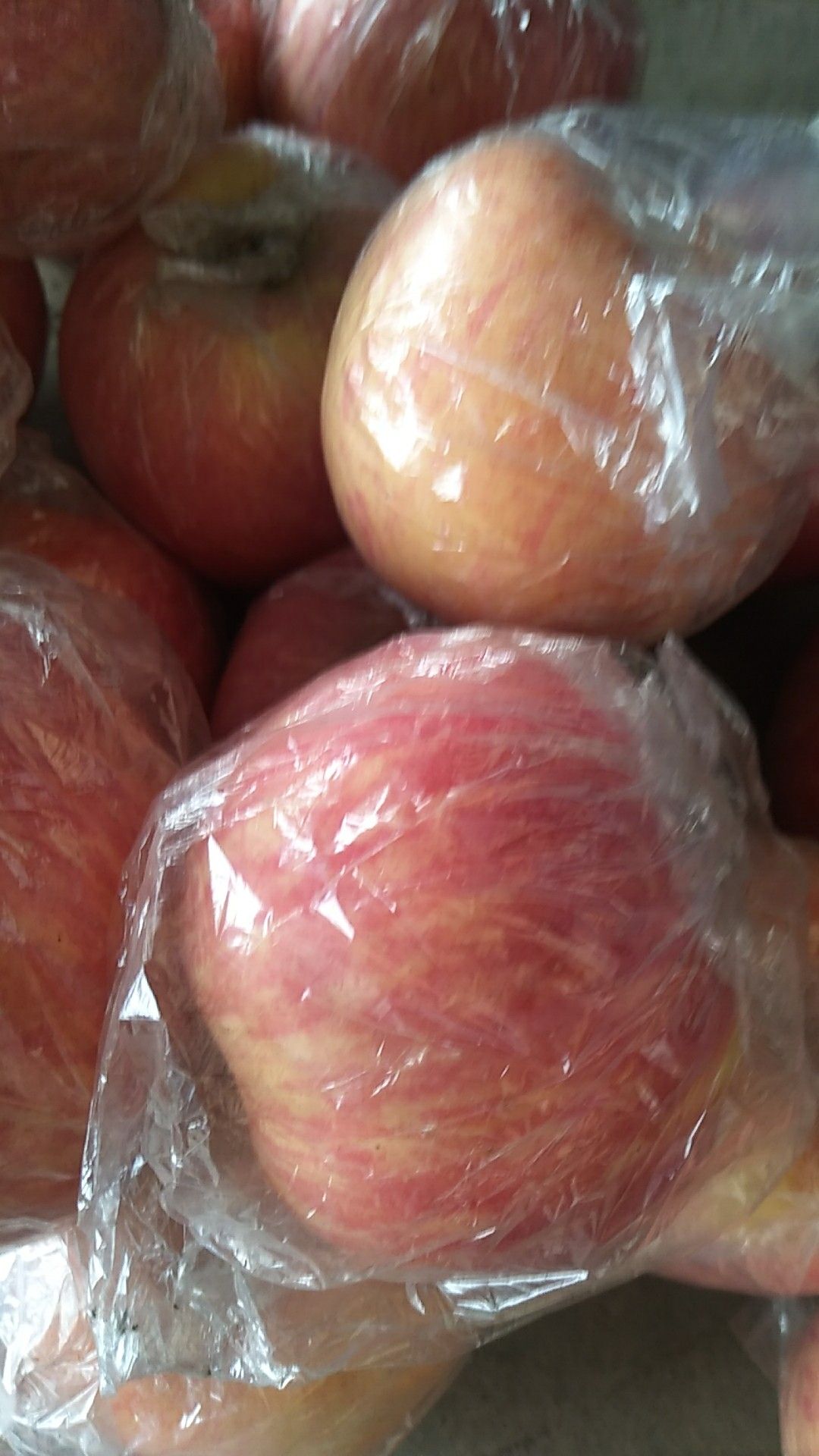 红富士苹果  红富士纸加膜