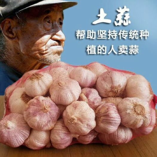 金乡县 干蒜5斤大蒜头干大蒜紫皮大蒜紫白皮大蒜山东大蒜