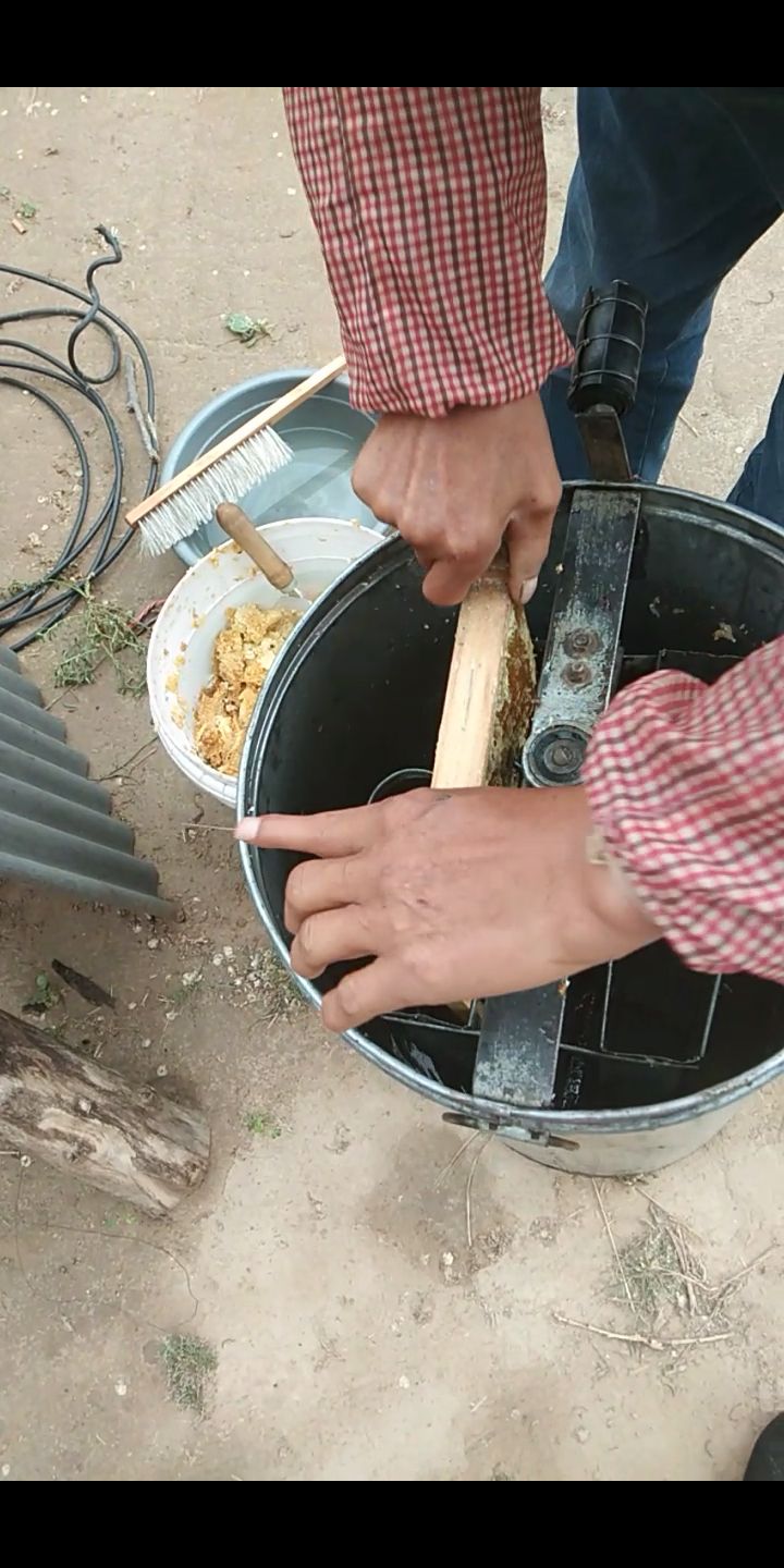 土蜂蜜 农村荞花蜜，百花蜜，红豆草蜜