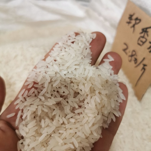 岑溪市山稻米 软香粘