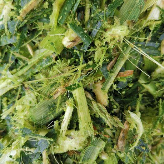 三台县牧草