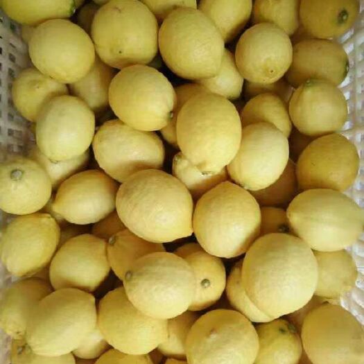 重庆市 安岳黄柠檬5斤全国包邮