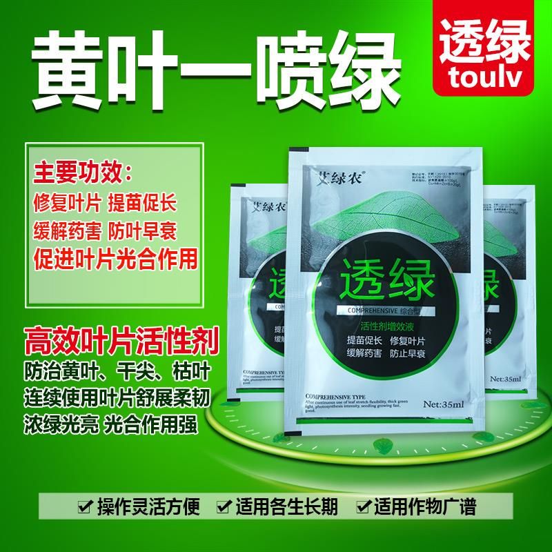 黄叶干尖一喷绿 绿叶先锋 减轻病毒病 透绿含多糖螯合铁促生长