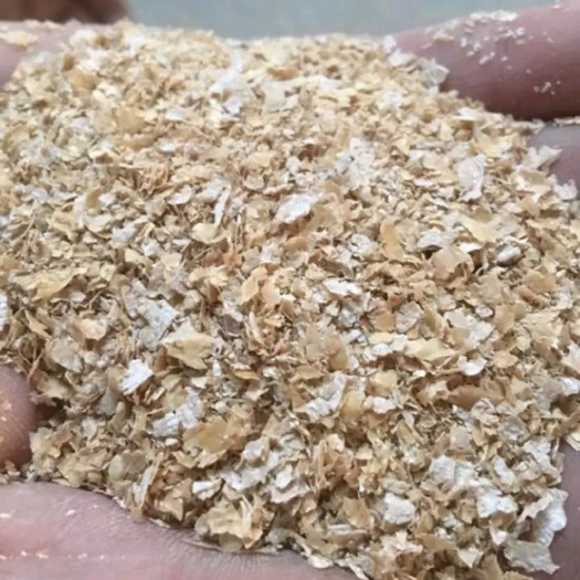 肃宁县麦麸 质优价廉有好货