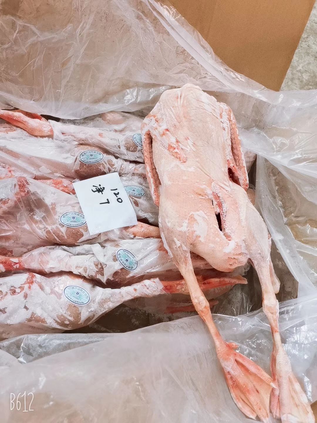 批发老鹅  批发白条鹅  批发鲜冻大鹅  批发东北大鹅