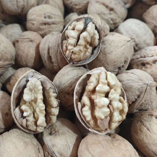 成都 新疆185纸皮核桃