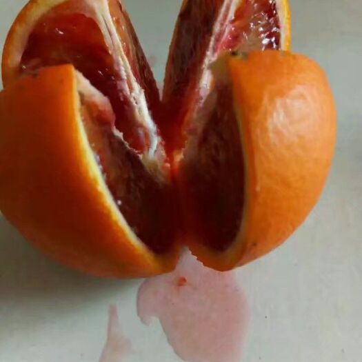 麻阳县塔罗科血橙 血橙