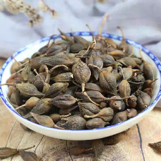 青翘  连翘 正品保证 中药材 包邮 健康至上 莫贪便宜