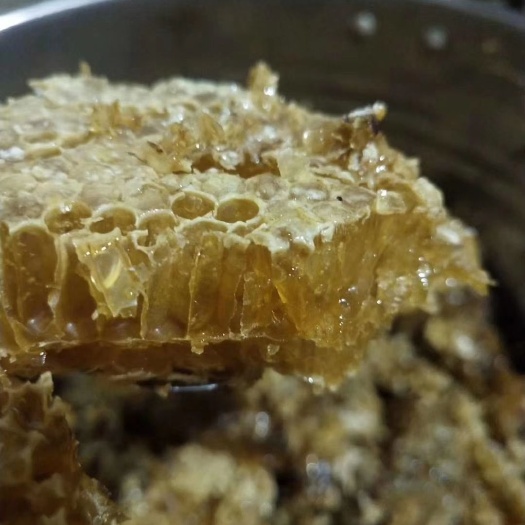 婺源县 深山野蜂蜜