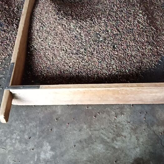 平邑县山东花椒 特级 干花椒