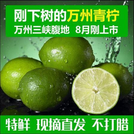 重庆市 海南品青柠檬皮薄多汁5斤免邮亏本1000一级果 可批发