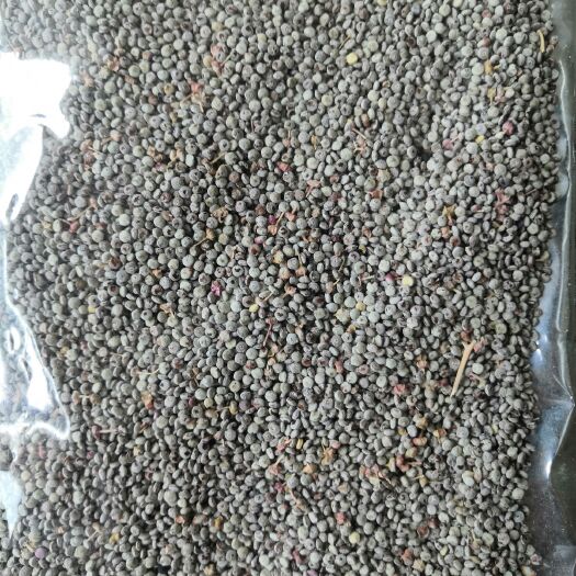 丽江 丽江红色藜麦原粮，藜麦米，价格可详谈