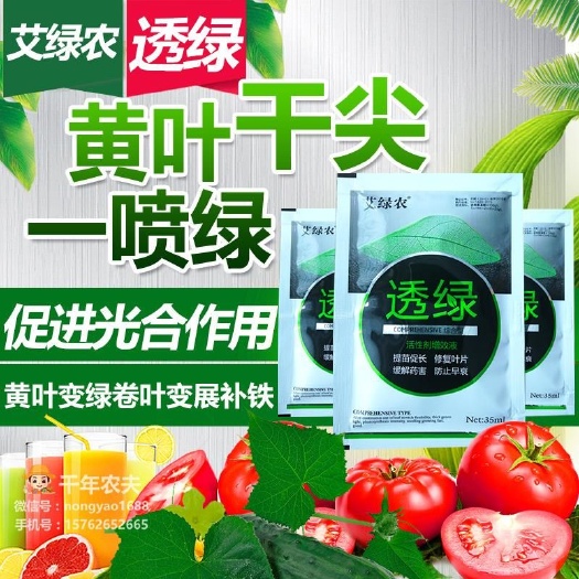寿光市黄叶干尖一喷绿 绿叶先锋 减轻病毒病 透绿含多糖螯合铁促生长