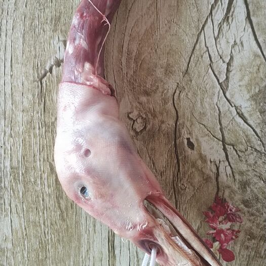 菏泽 鸭头带鸭脖