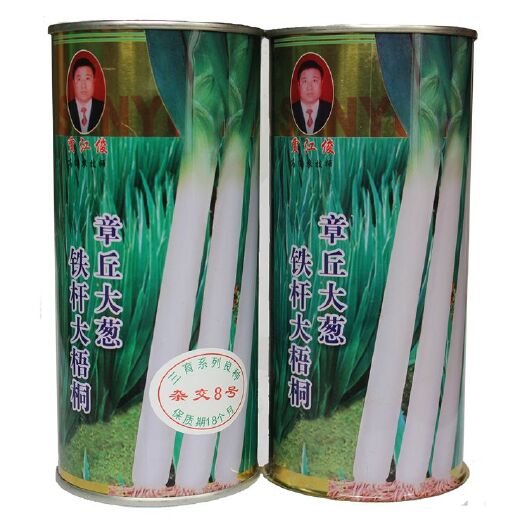 菏泽章丘大葱种子章丘铁杆大梧桐种子